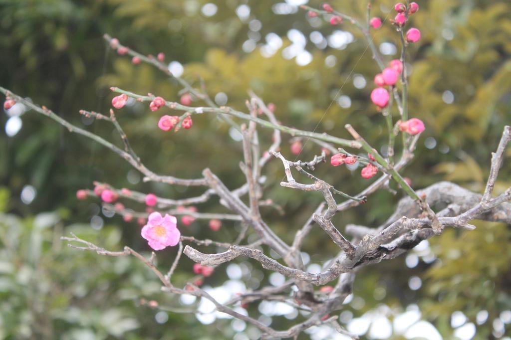 Kinugawa Onsen Sanraku Hotel Nikkó Kültér fotó